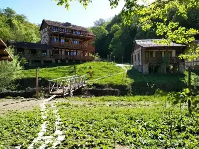 Ecokayan Dilijan Resort - 22