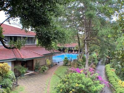 Tree of Life Nature Resort - 2