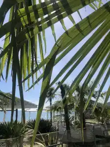 Del Mar - 8