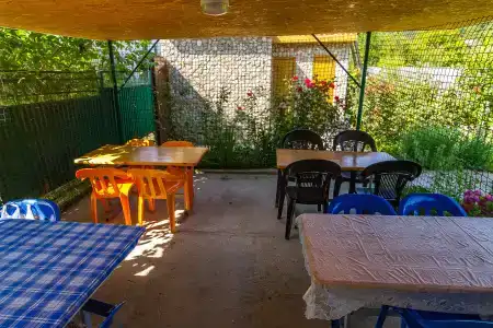 Кедр - 6