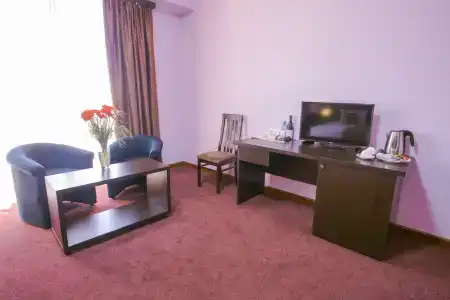 Ani Central Inn - 12