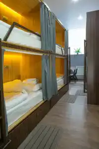 Художник - 2