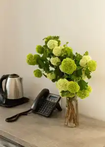 Downtown Suites Yerevan - 18