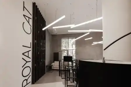 Royal Cat - 24