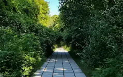 Апсны - 14