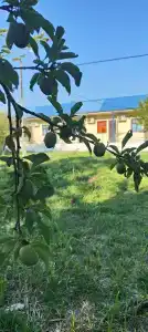 Садовый Двор - 15