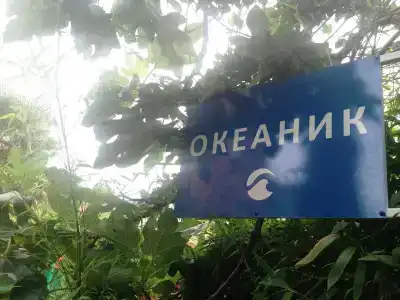 Океаник - 1