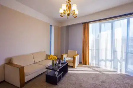 Ani Central Inn - 32