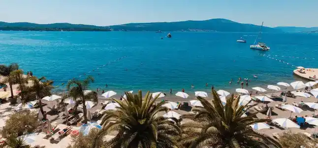 Palma - 1