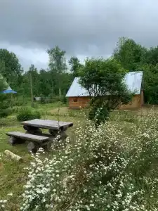 Изба у Дуба на озере Але - 13