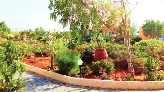 Zorbas Beach Village - 31