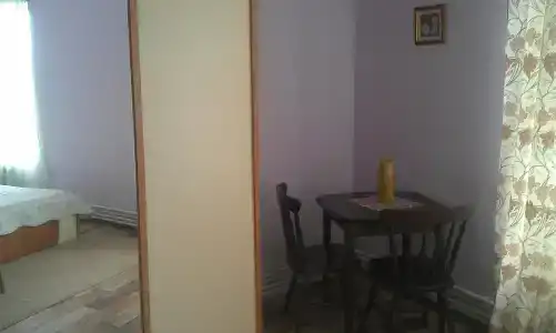 Норки - 1