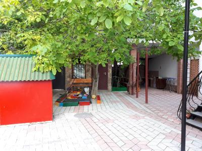 Elena - 5