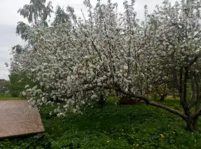 Гостевой дом на Волге в Соболево - 19
