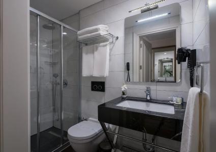 Le Petit Palace - Special Category - 50