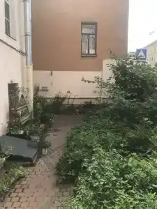 Белый Бегемот - 5