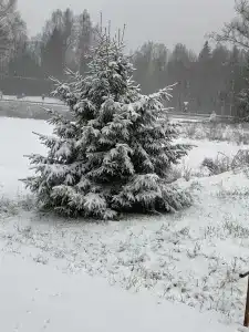 Зайцева гора - 9