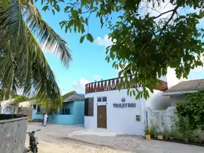 Violet Inn - 8