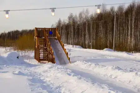 Шелест - 1