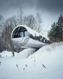 Клевер - 5