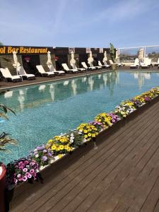 Paradice Luxury Suites - 11