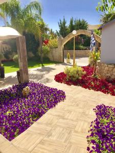 Paradice Luxury Suites - 14