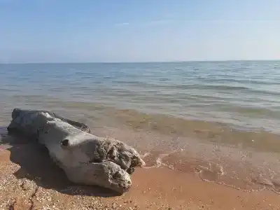 Гостевой дом на Бондаревской - 13