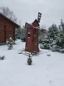 Багнюки - 1