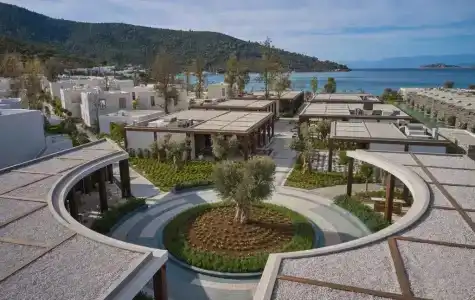 Voyage Torba - 2