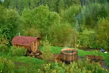 Кедровая сова - 9