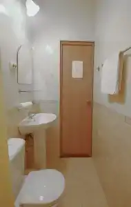 Инжир - 30