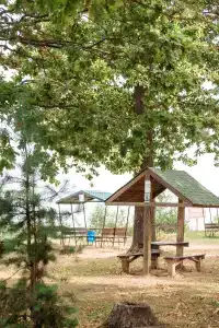 Волга - 28
