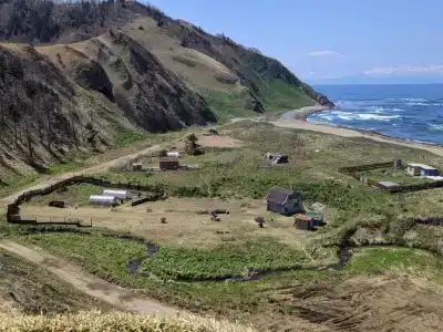 Курил - 71