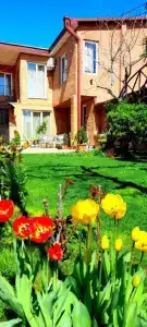 Green Garden - 20