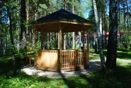 Шишки - 2