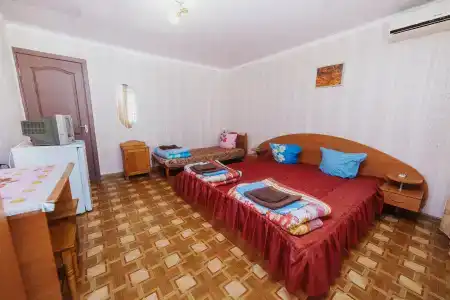 Фрунзенец - 1