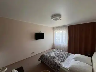 Новый лес - 33