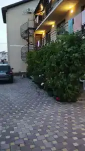 Бриз - 20