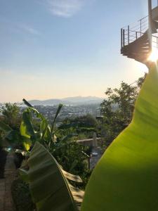 Spektr Boutique & Spa - 3