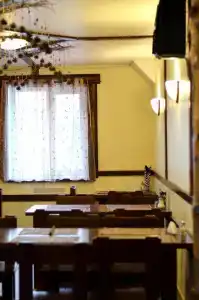 Шишки - 8