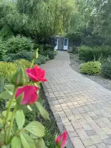в Провансе - 0