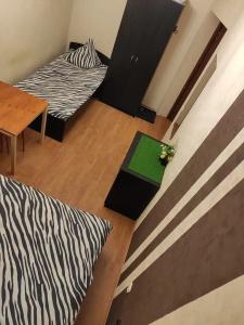 Zebra Hostel - 5
