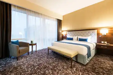 Golden Tulip - 62