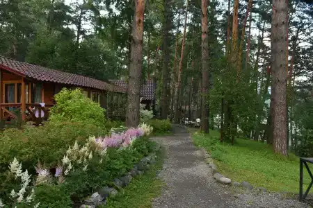 Сердце Алтая - 23