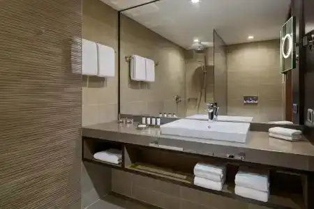 Sheraton Grand Tbilisi Metechi Palace - 48