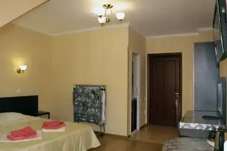 Аист - 69
