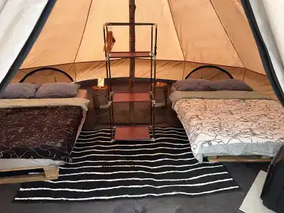 Звездный лес - 140