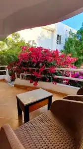 Viking club sharm - 5