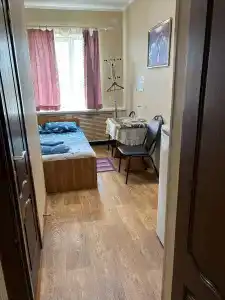 Спутник - 8