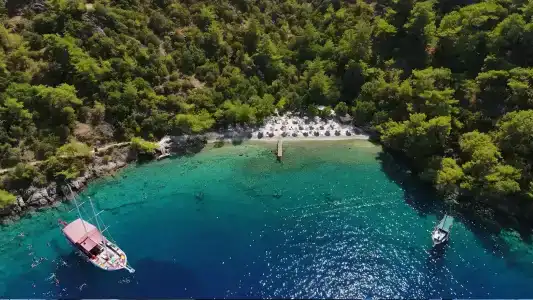 Hillside Beach Club - 1